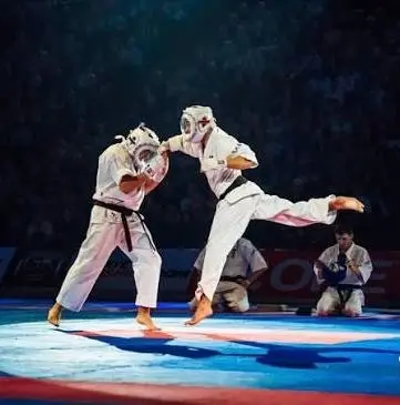 Seishin Budo