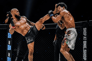 Muay Thai clinch elbows