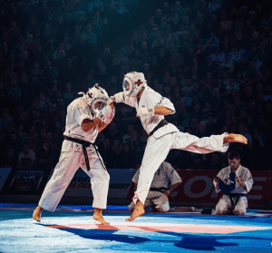 Seishin Budo